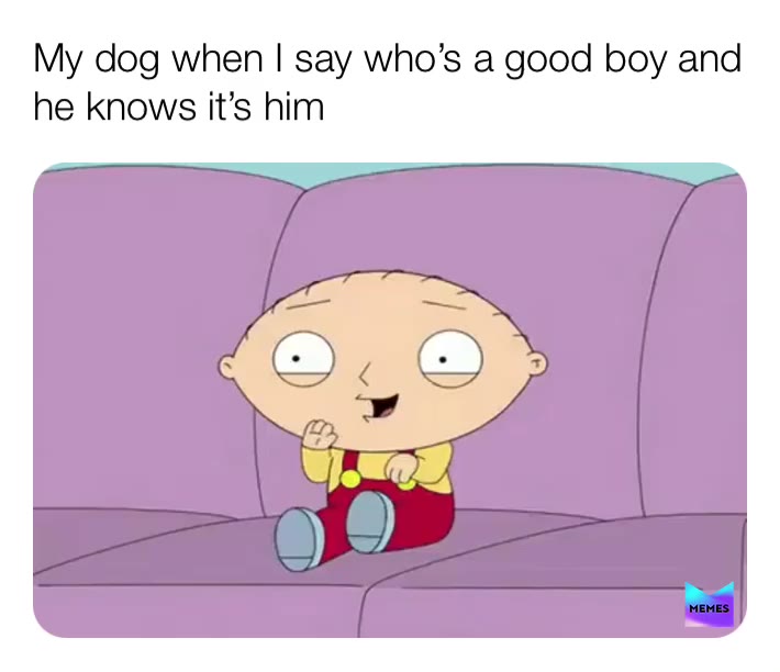 My dog be like