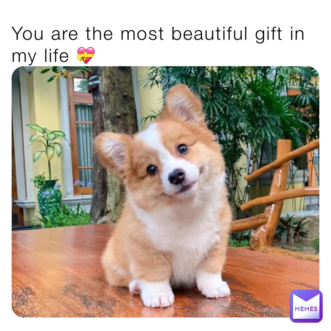 You are the most beautiful gift in my life 💝