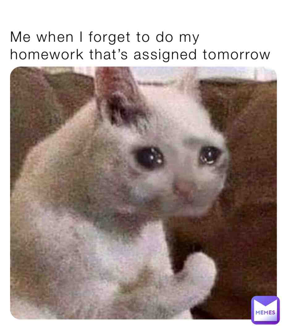 Meme shared by @Leadenzize