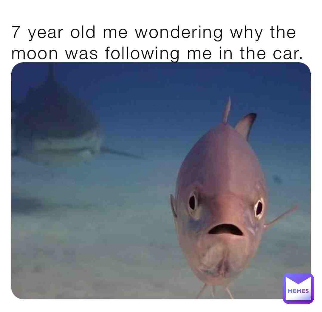 Meme shared by @Leadenzize