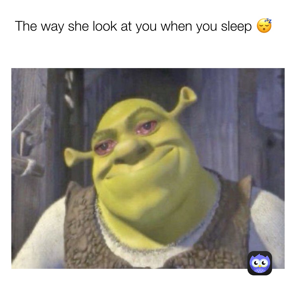 Meme by viralmemes316