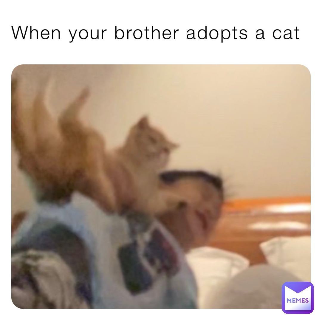 Meme by AAAAAAAAAA_OK