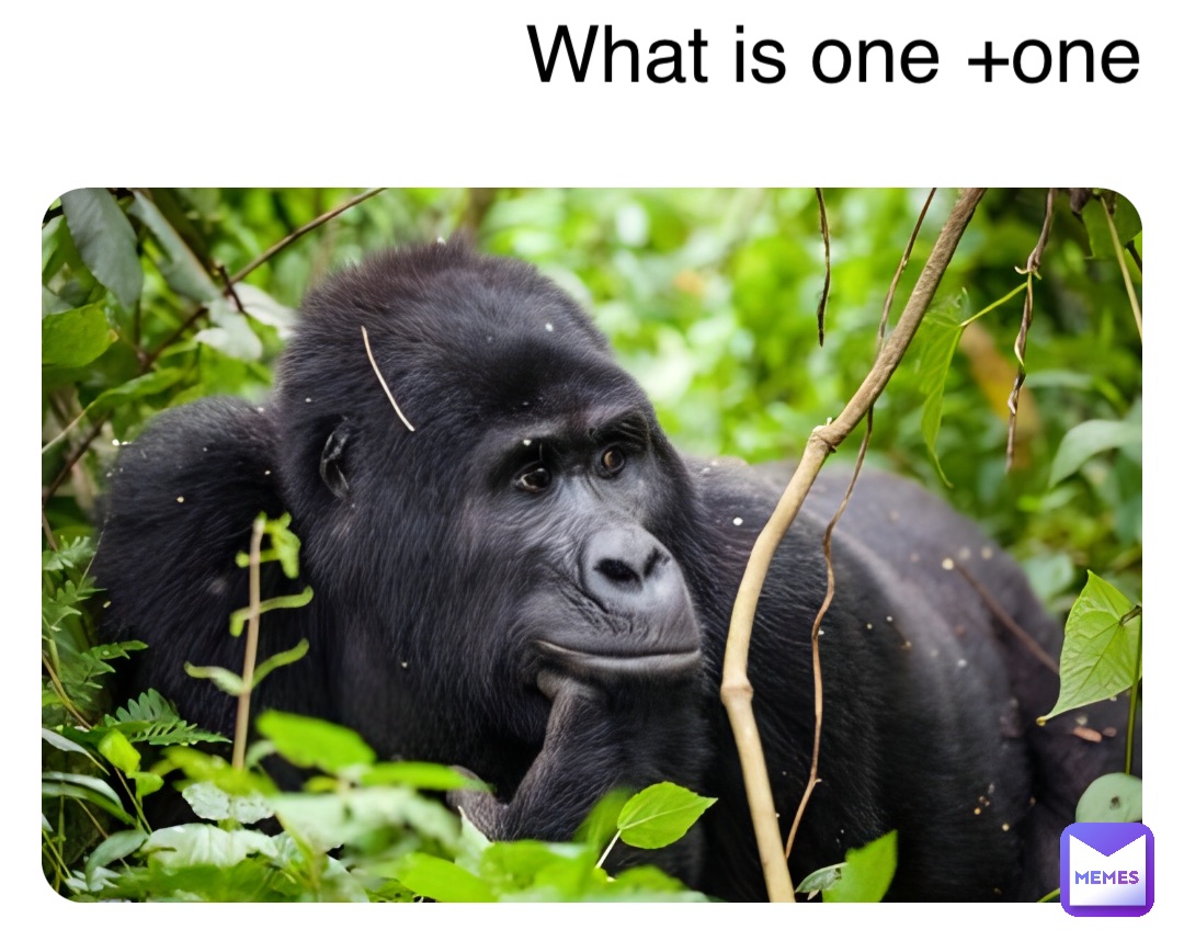 Double tap to edit What is one +one