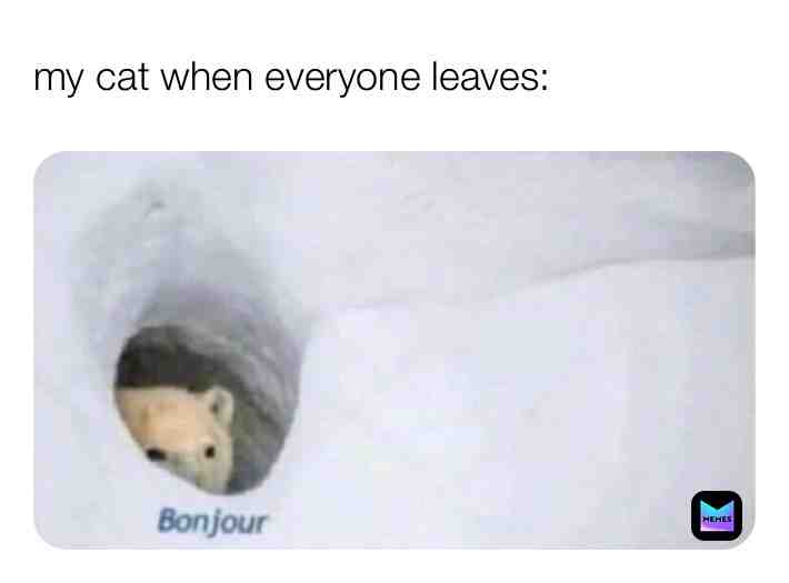 🍁🍃🍂