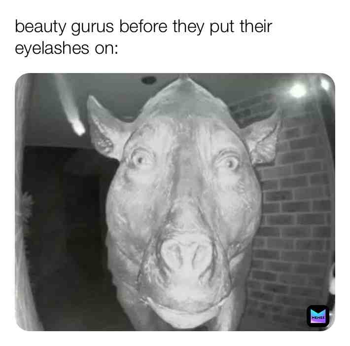 She is beauty, she is grace, she is Mrs. United States 🇺🇸 #memes