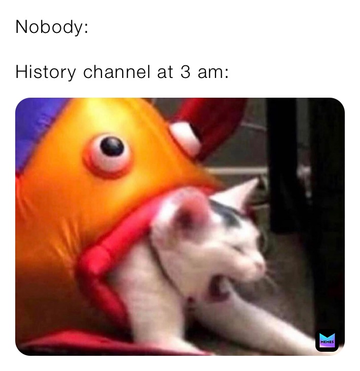 history channel memes
