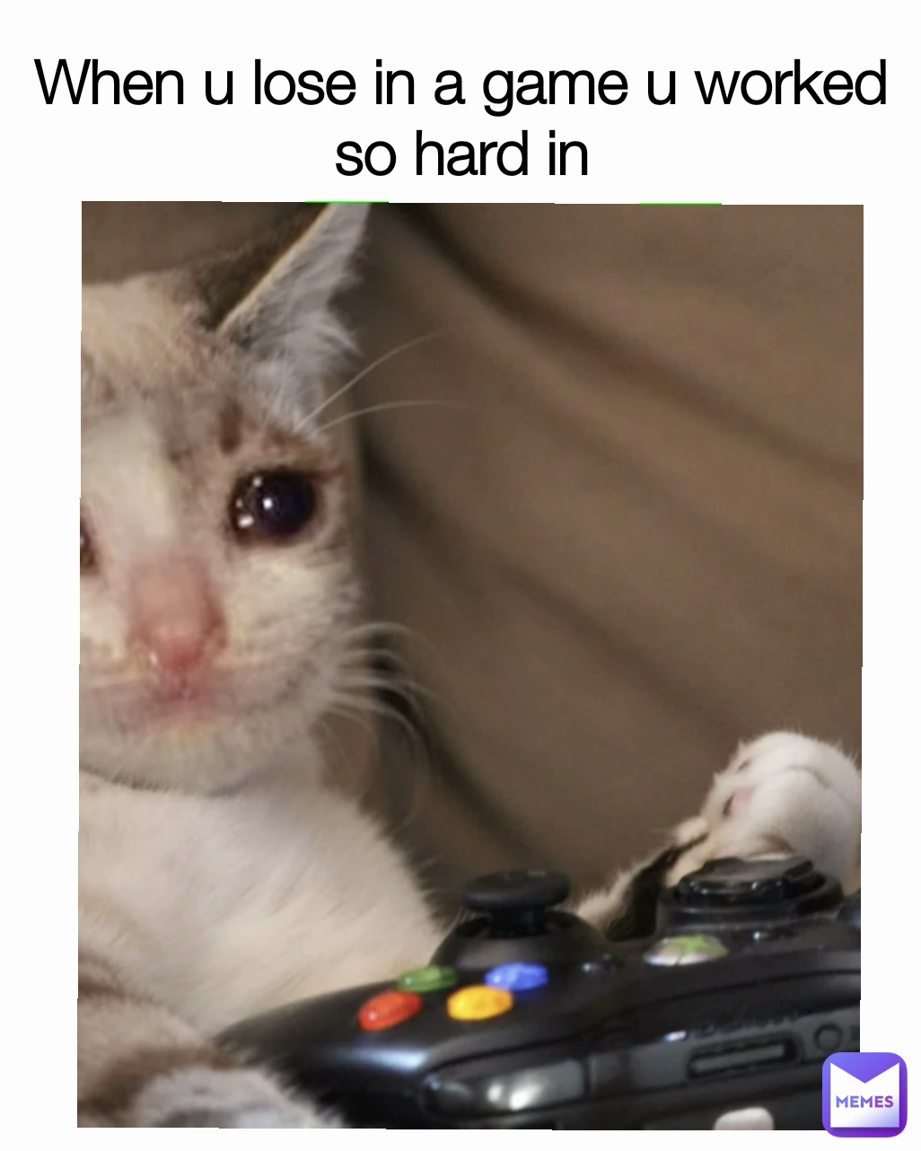 When u lose in a game u worked so hard in