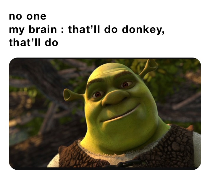 no one
my brain : that’ll do donkey, that’ll do 