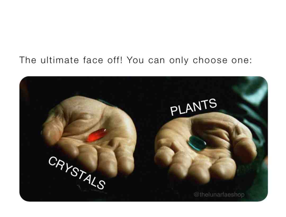 Red pill or blue pill? 💊 #thelunarfae #moldavite #crystals #highvibe #woke #gems #plants