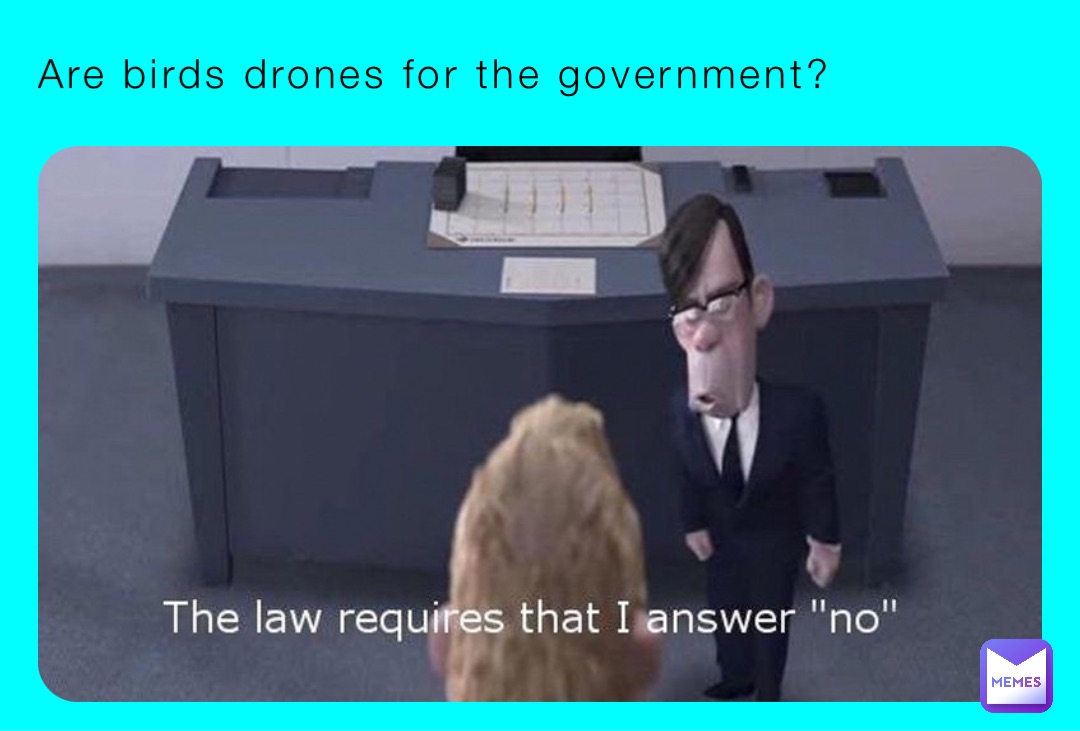 Are birds drones for the government?