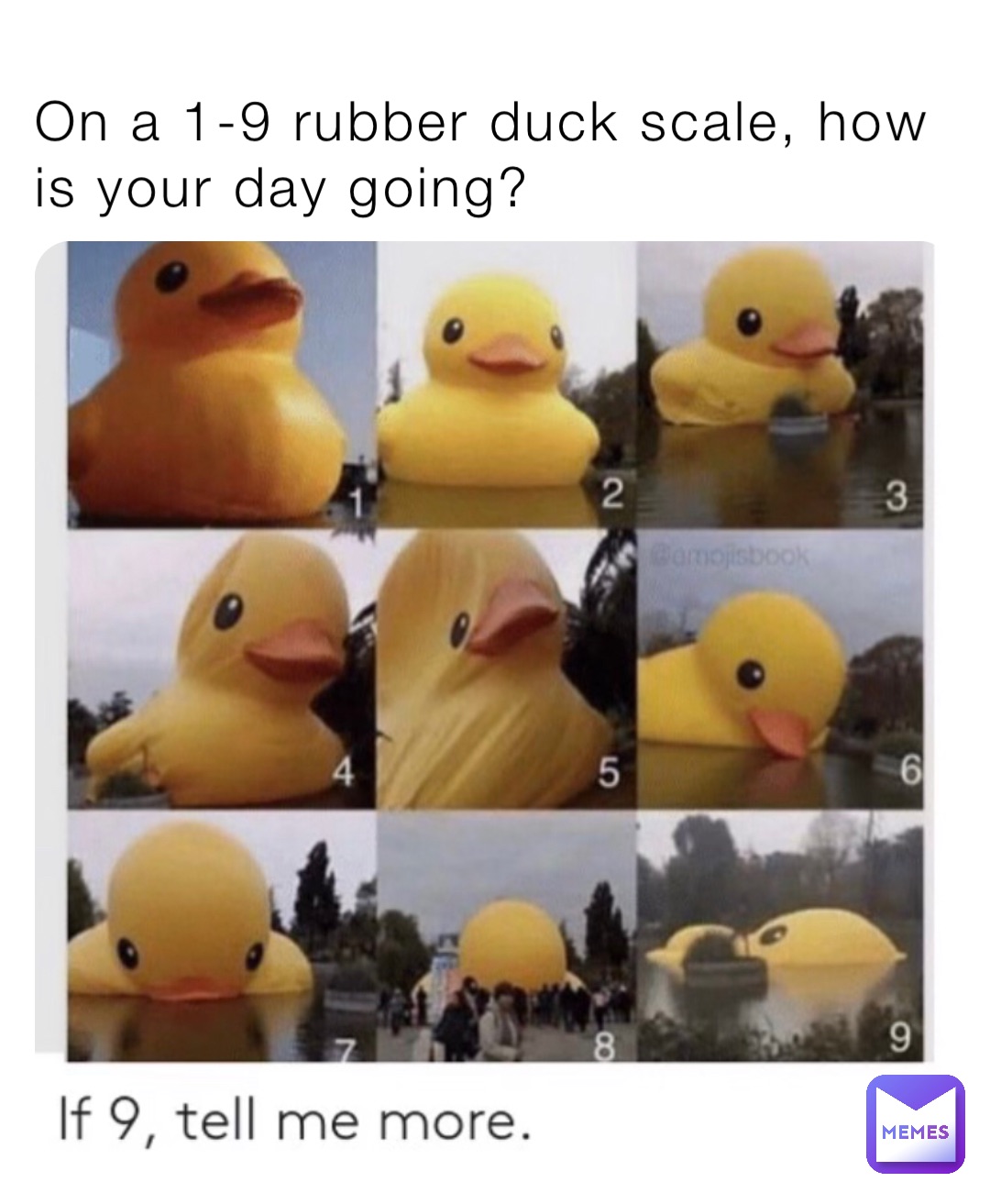 On a 1-9 rubber duck scale, how is your day going?