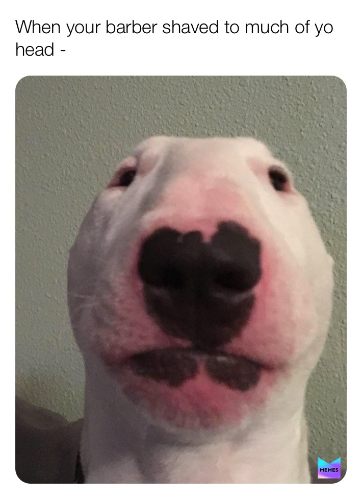 Meme by unhelpful_memes