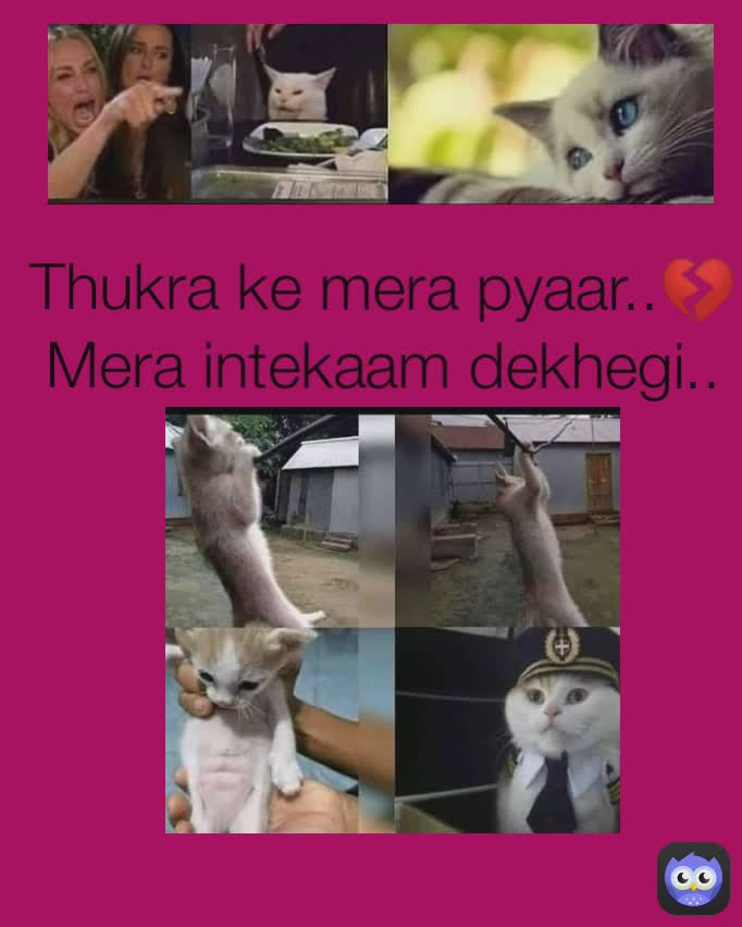 Thukra ke mera pyaar..💔
Mera intekaam dekhegi..👀