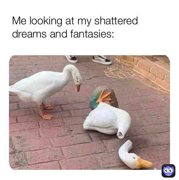 Meme shared by @memesfer