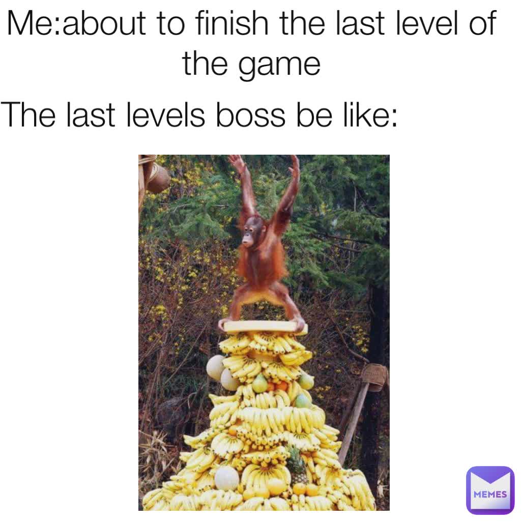 Me:about to finish the last level of the game The last levels boss be like: