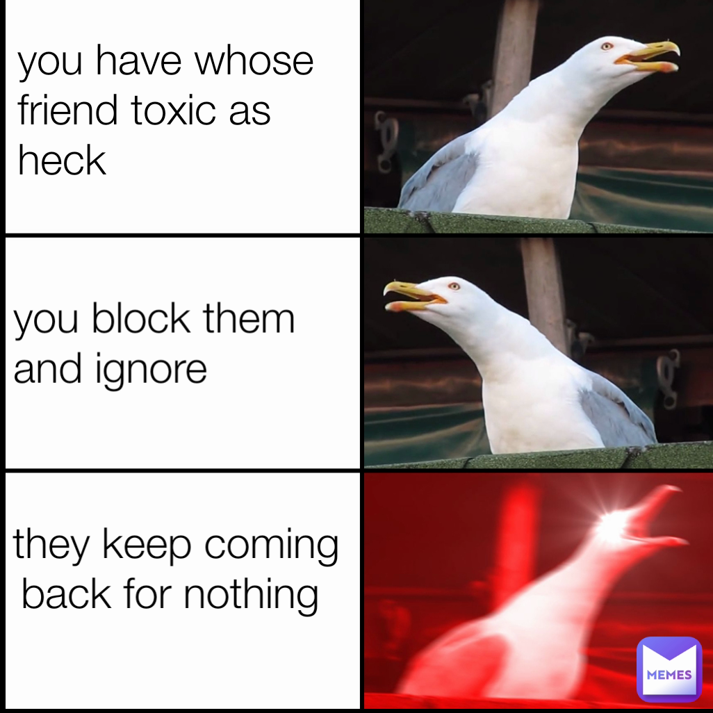 they keep coming back for nothing you block them and ignore you have whose  friend toxic as heck | @Duckana_gang | Memes