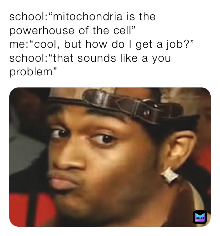 school:“mitochondria is the powerhouse of the cell”
me:“cool, but how do I get a job?”
school:“that sounds like a you problem”