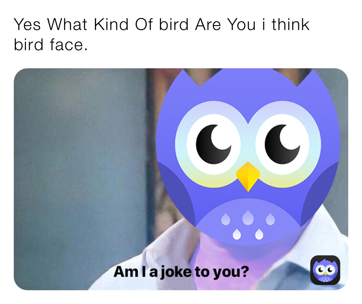 Yes What Kind Of bird Are You i think
bird face.