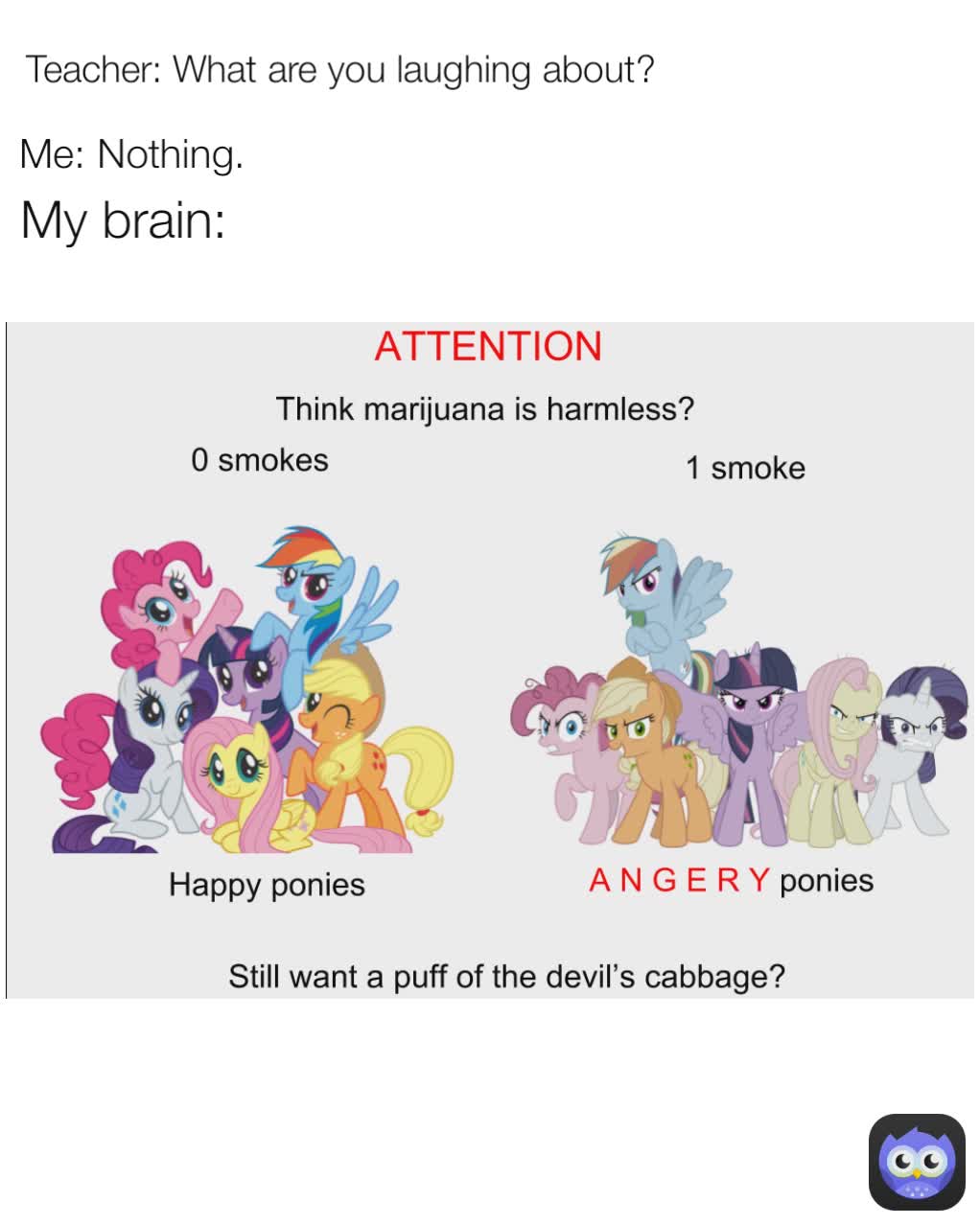 Meme by ShahDaniel004