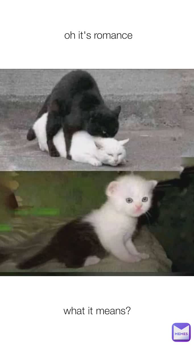 Meme by hamzeilkacase1