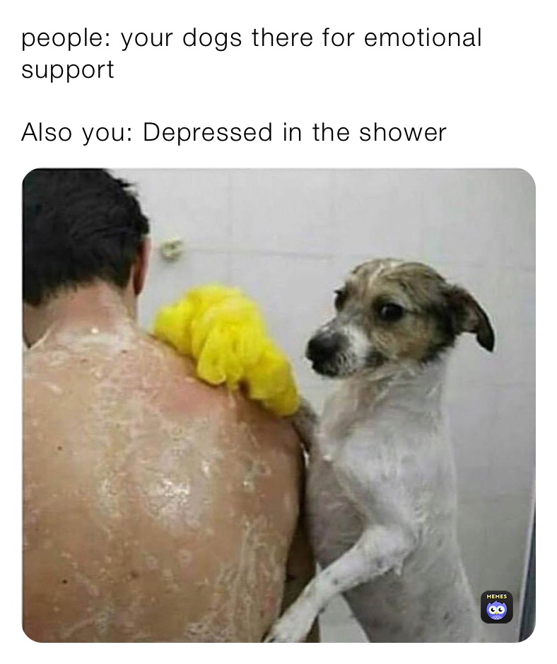 people: your dogs there for emotional support 

Also you: Depressed in the shower