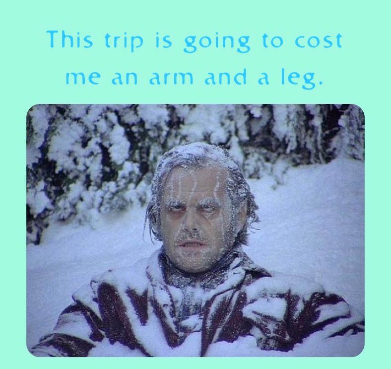 This trip is going to cost me an arm and a leg.