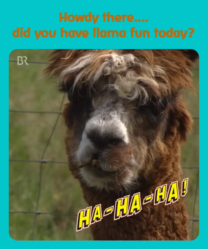 Meme shared by @chrisboe