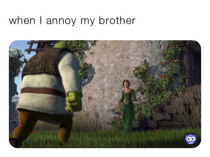 when I annoy my brother