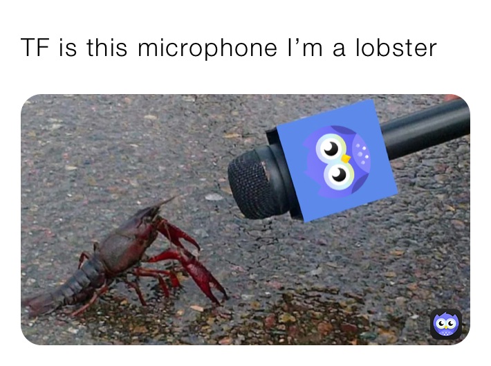TF is this microphone I’m a lobster