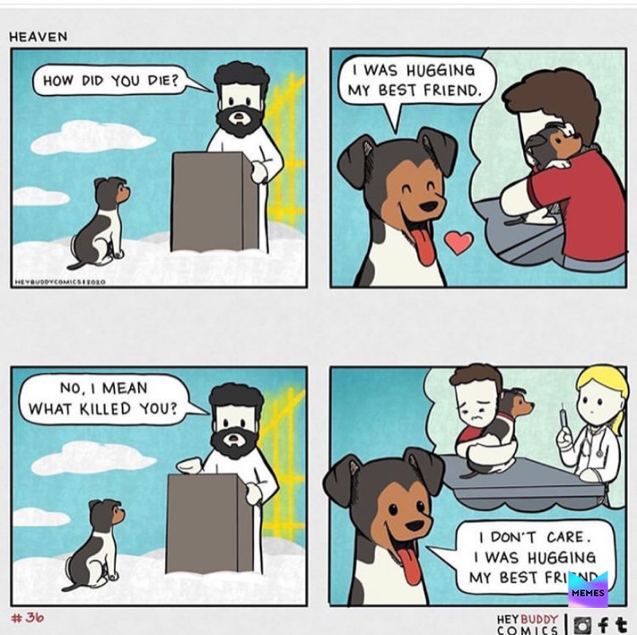 Meme by frickingdopeboiii