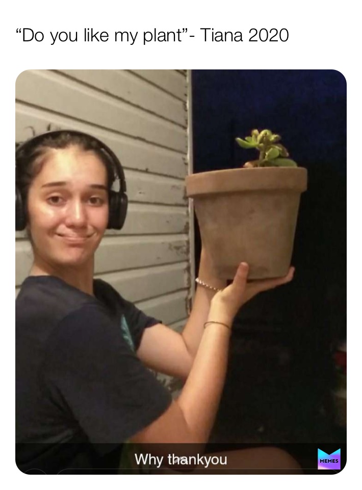 Meme by frickingdopeboiii