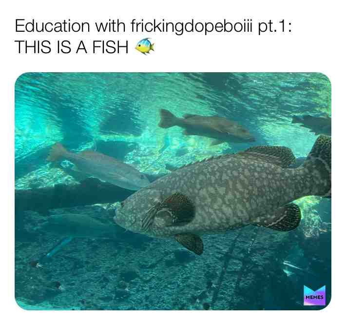 #educationwithfrickingdopeboiii #pt.1 #fish