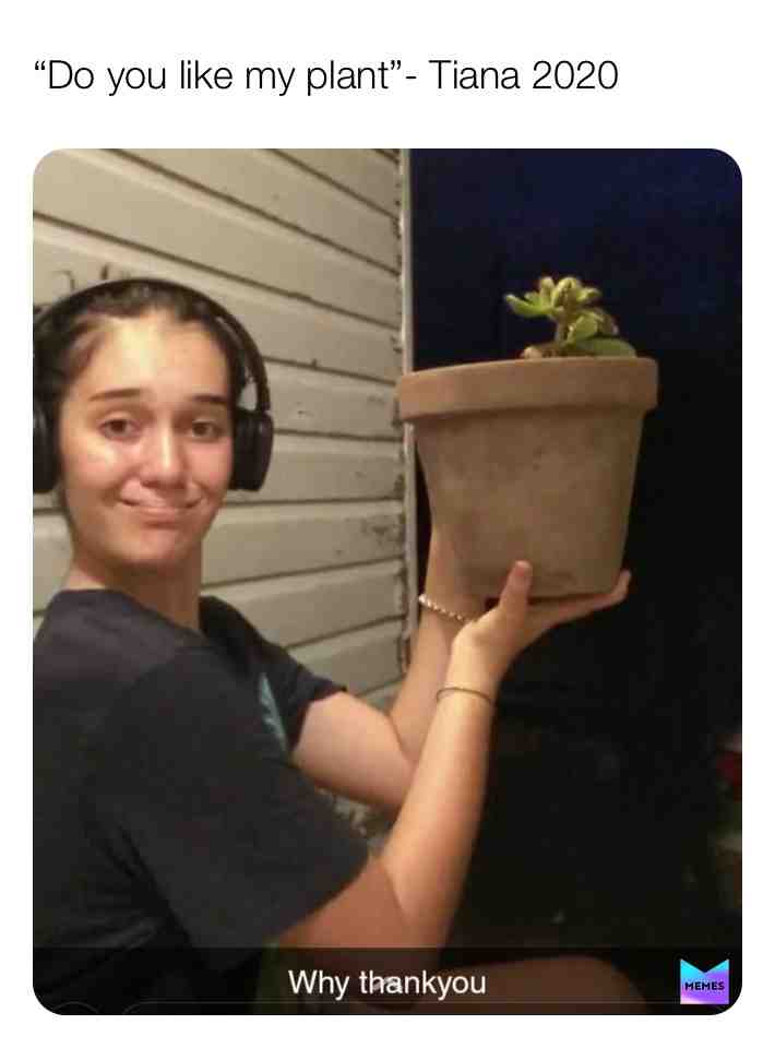 #plants