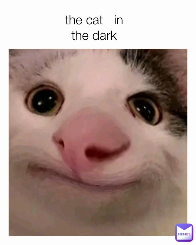 the cat   in the dark me