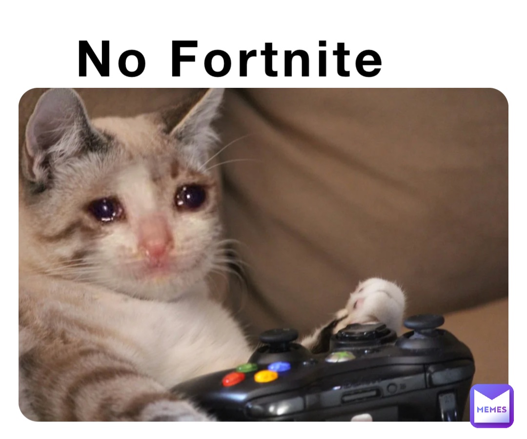 Meme by des_1705420934