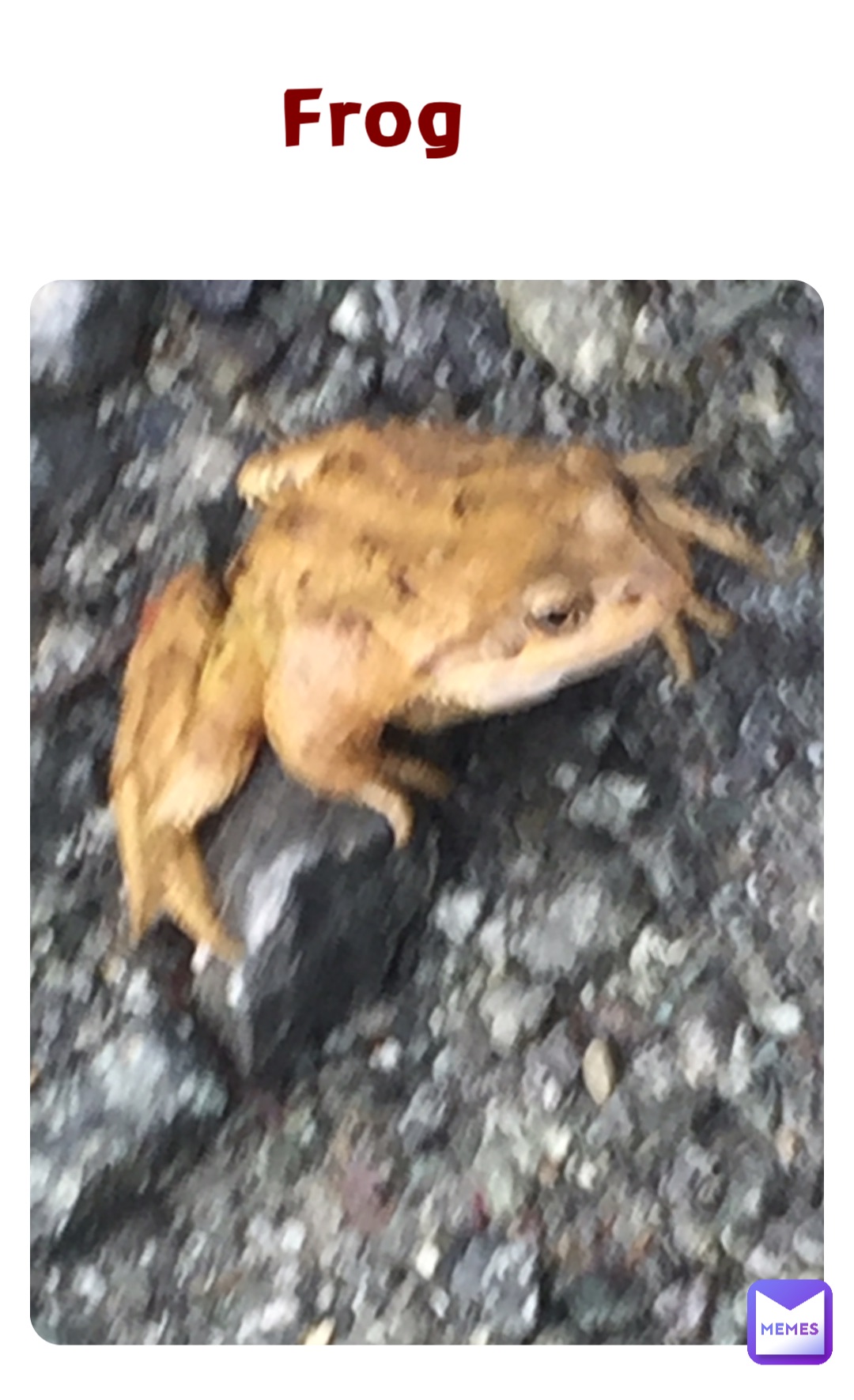 Meme by Memememmmmmme