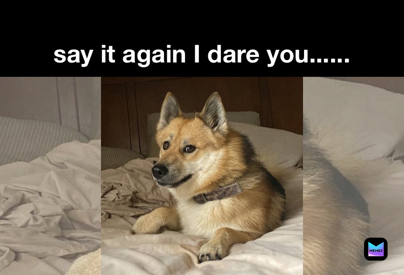 Meme by Roxy_rosie_rules