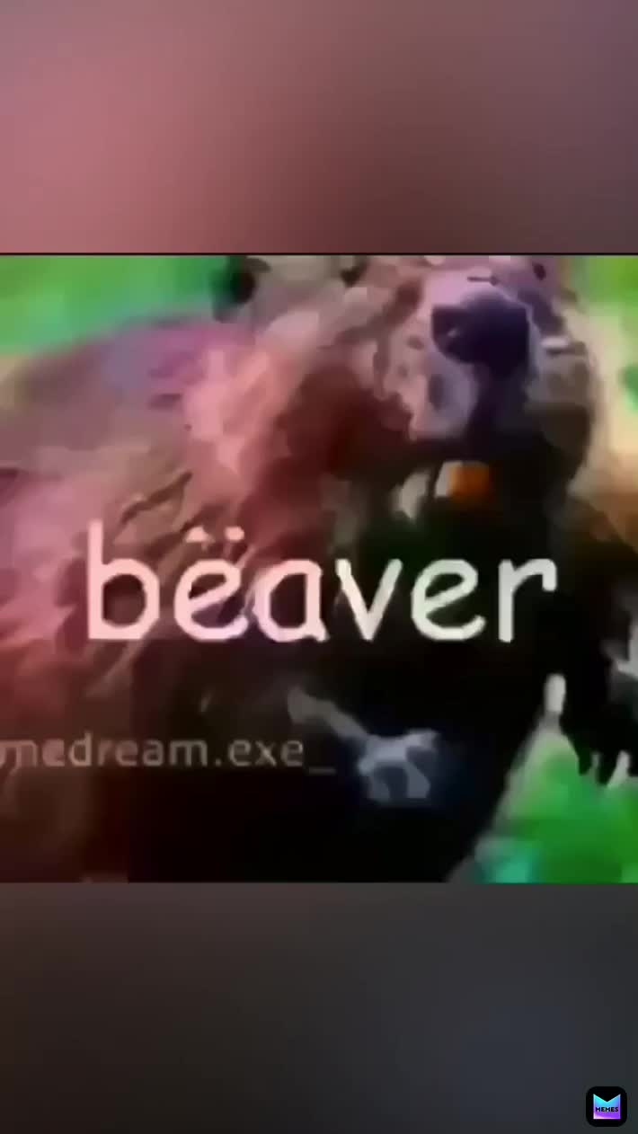 Bæver