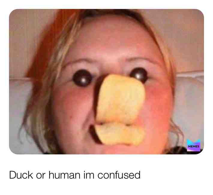 Meme shared by @potato_face_memes
