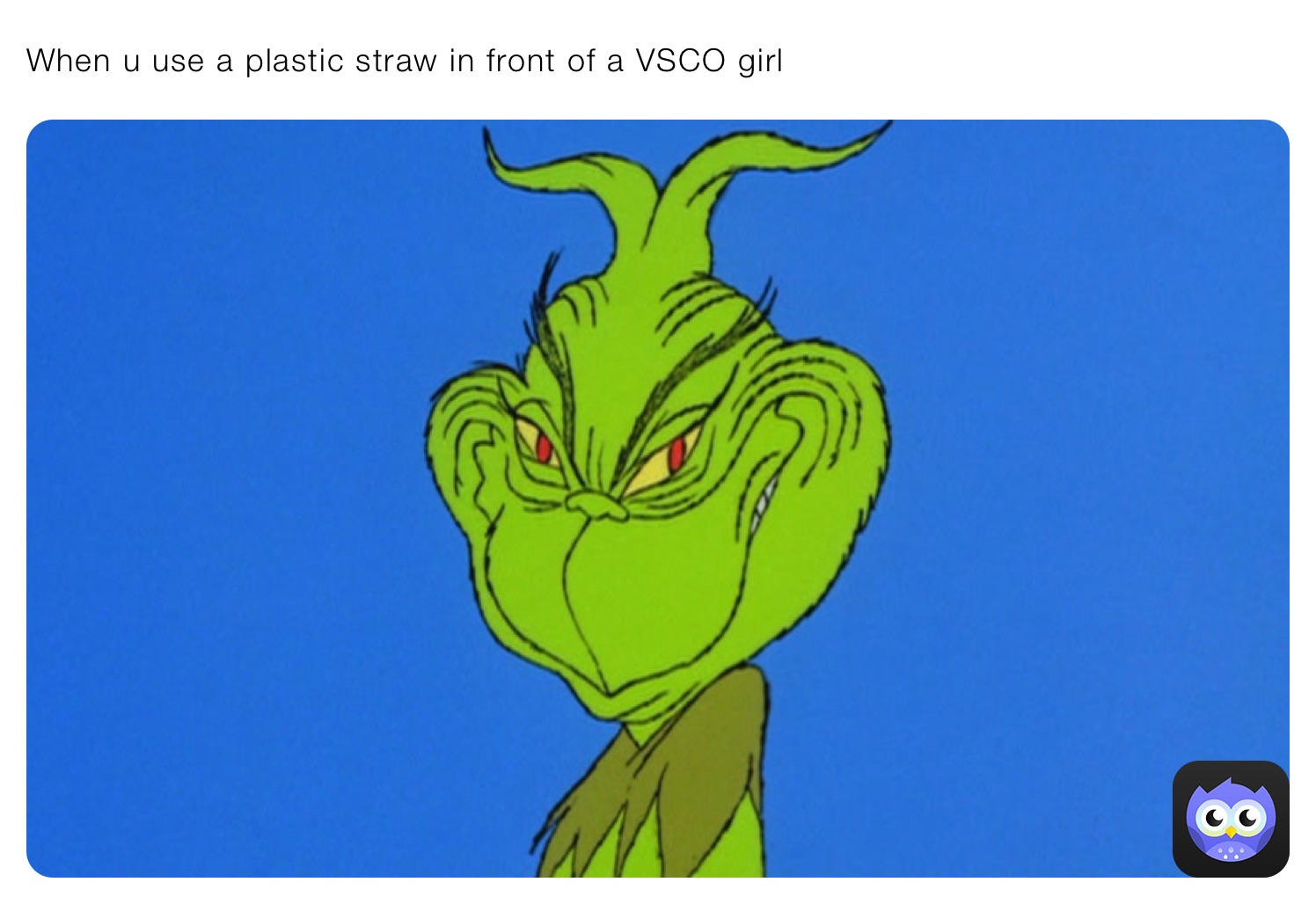 When u use a plastic straw in front of a VSCO girl