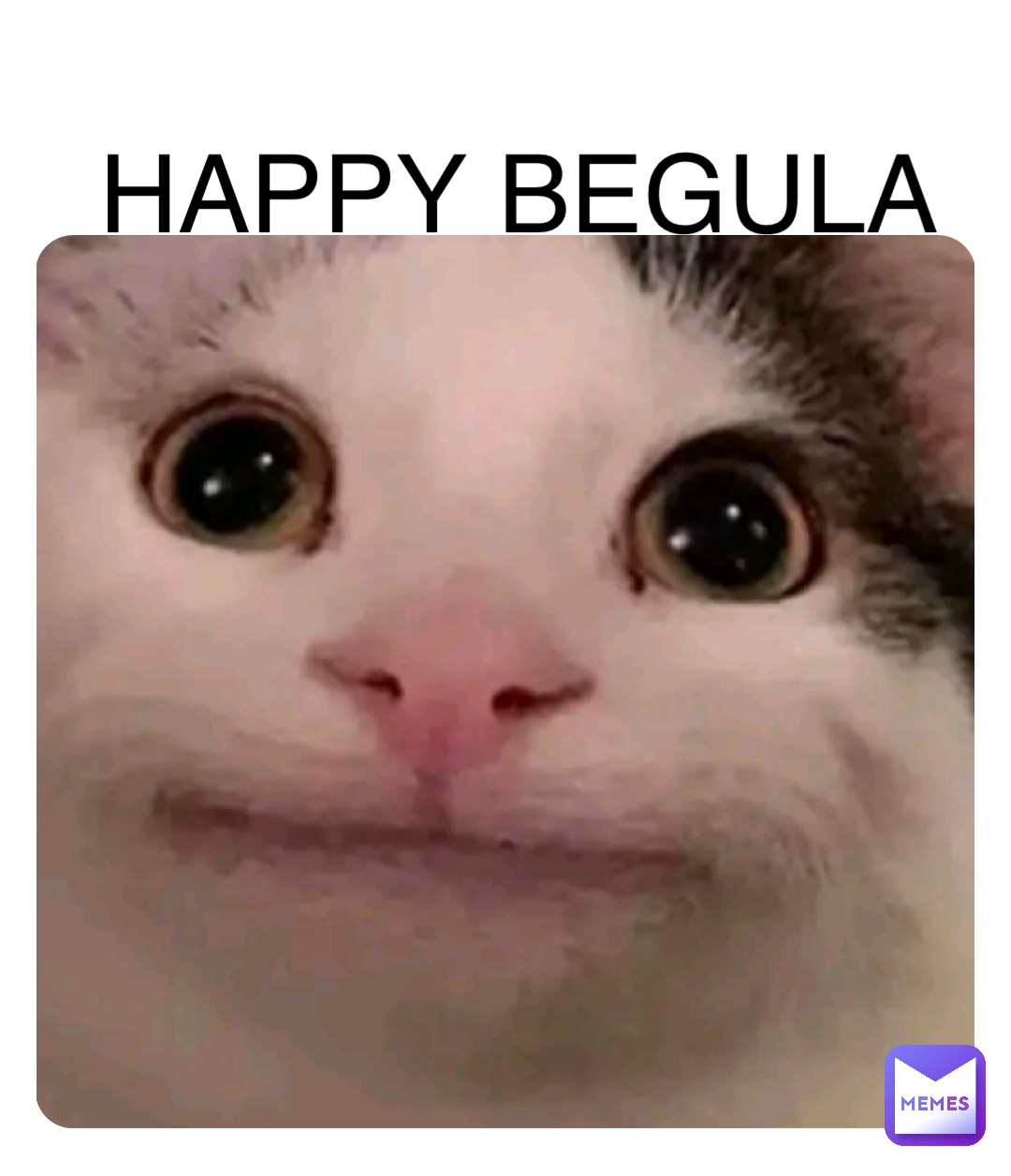 HAPPY BEGULA