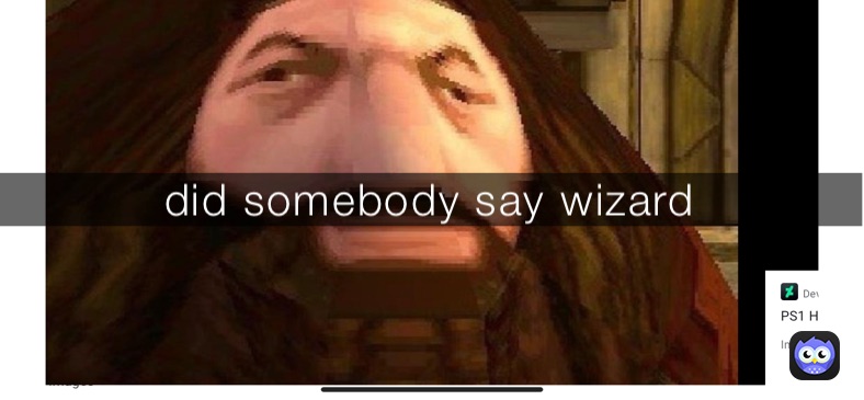 did somebody say wizard￼