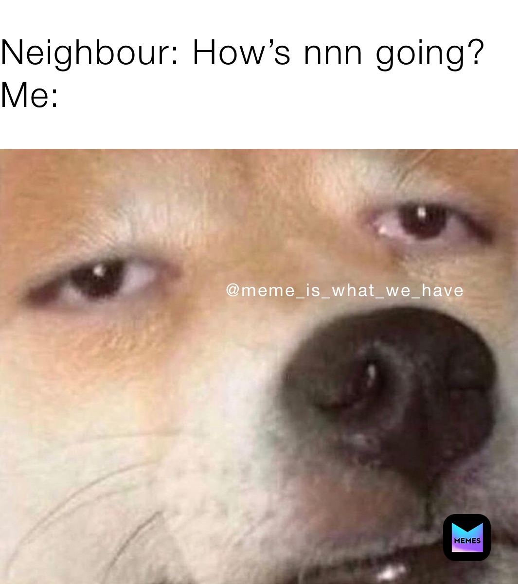 Neighbour: How’s nnn going?
Me: Neighbour: How’s nnn going?
Me: