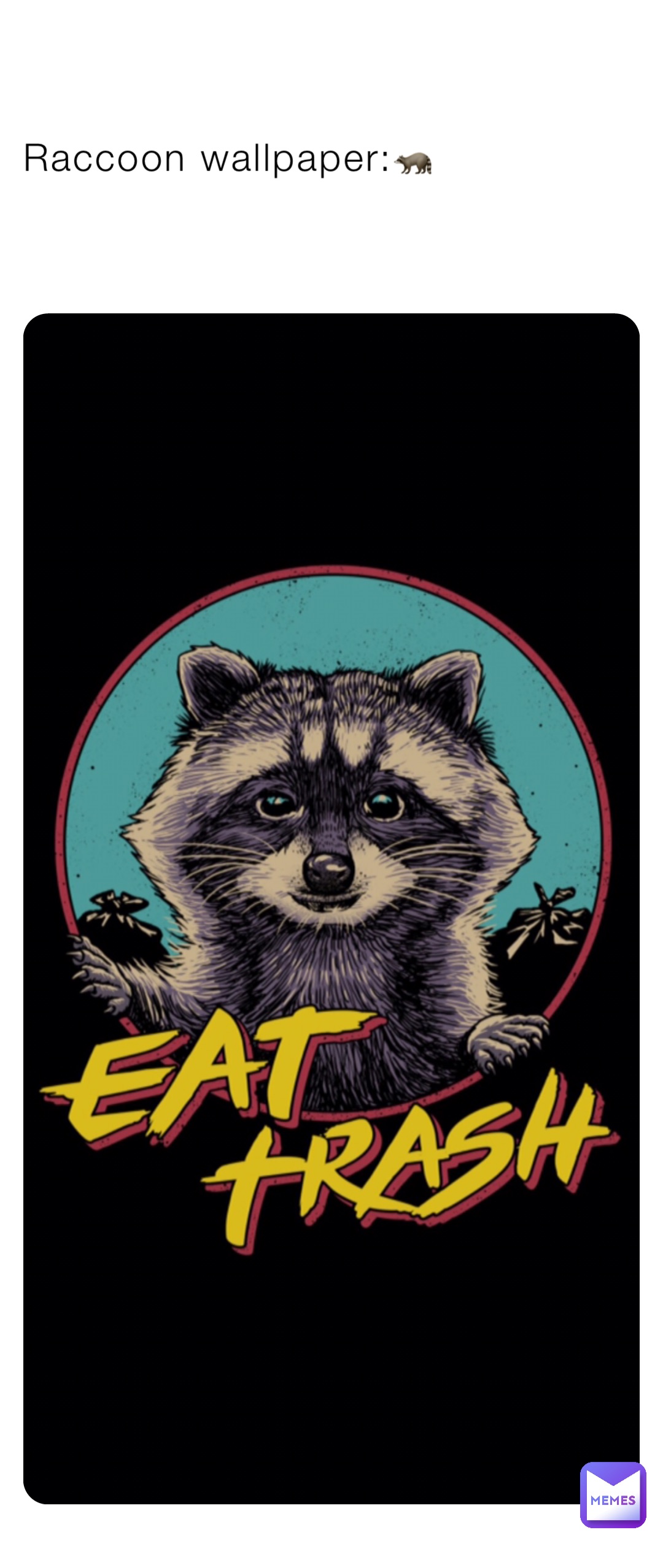 Raccoon wallpaper:🦝