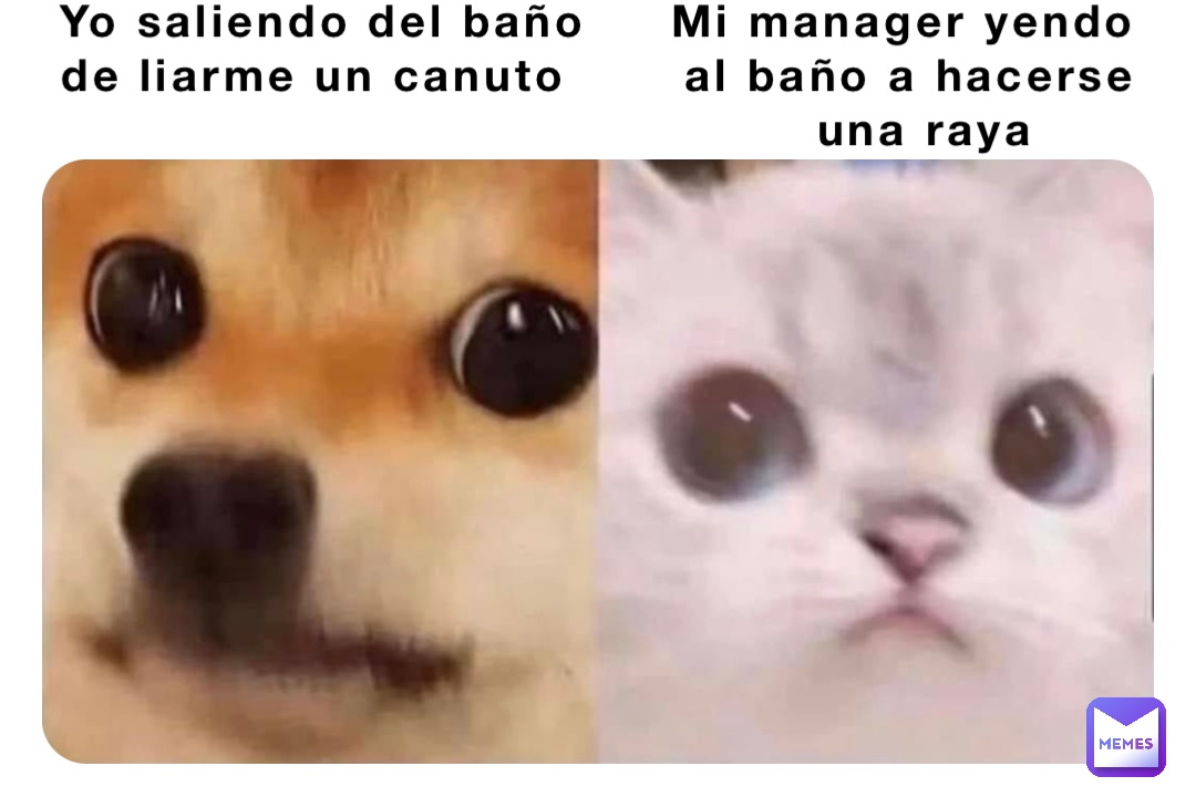 Yo saliendo del baño     Mi manager yendo
de liarme un canuto       al baño a hacerse 
                                       una raya