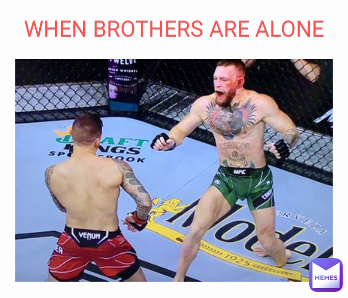 WHEN BROTHERS ARE ALONE