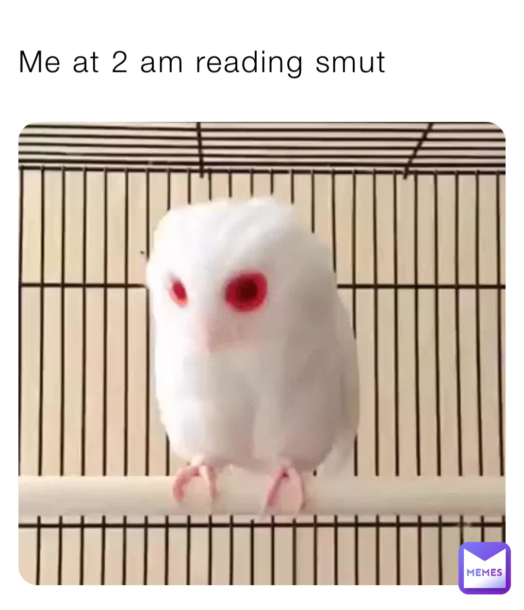 Me at 2 am reading smut