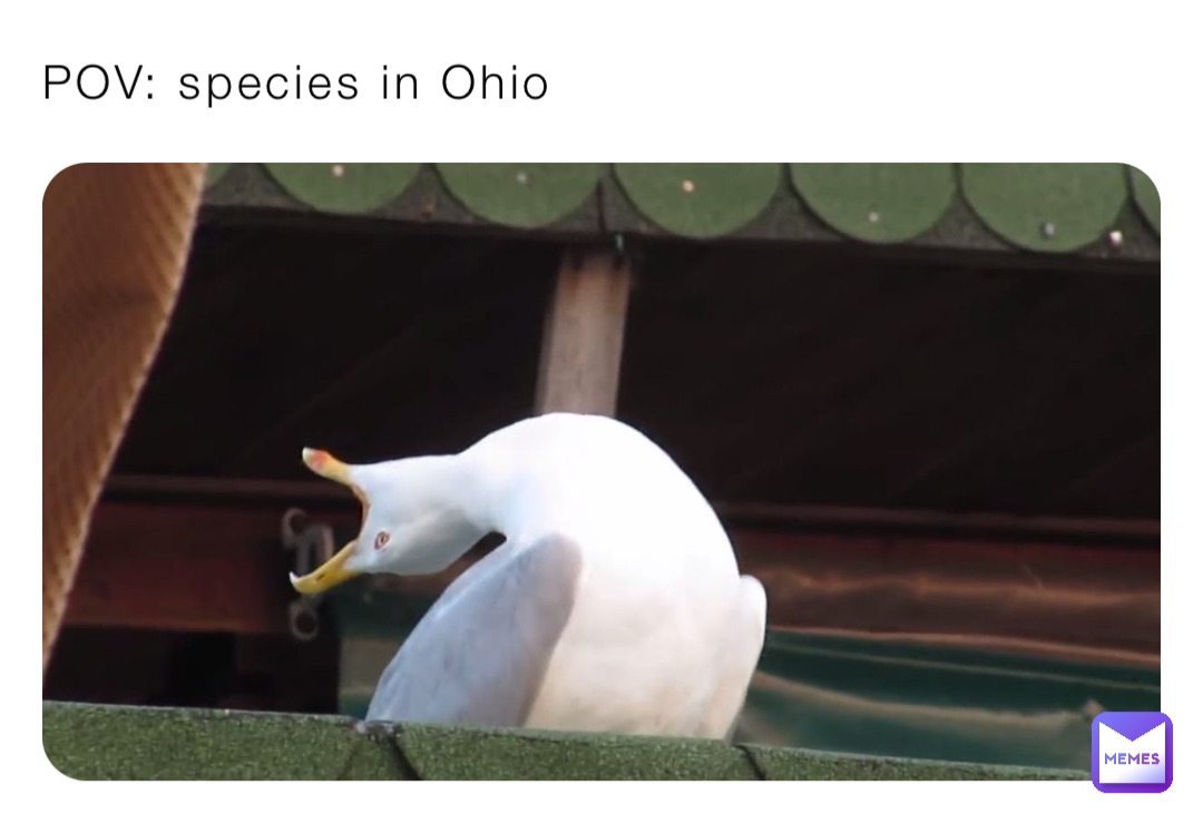 POV: species in Ohio