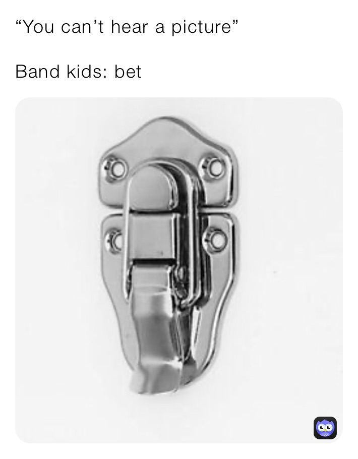“You can’t hear a picture”

Band kids: bet