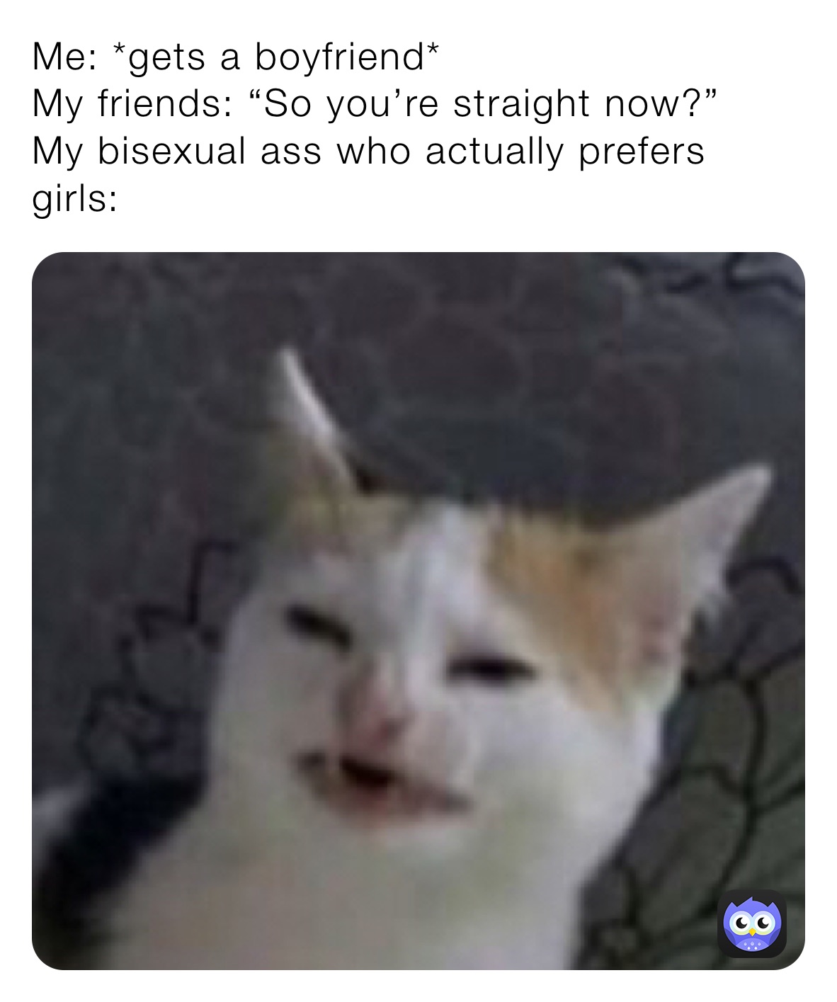 Me: *gets a boyfriend*
My friends: “So you’re straight now?”
My bisexual ass who actually prefers girls: